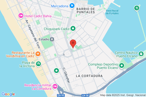 Publicaciones Del Sur S A
