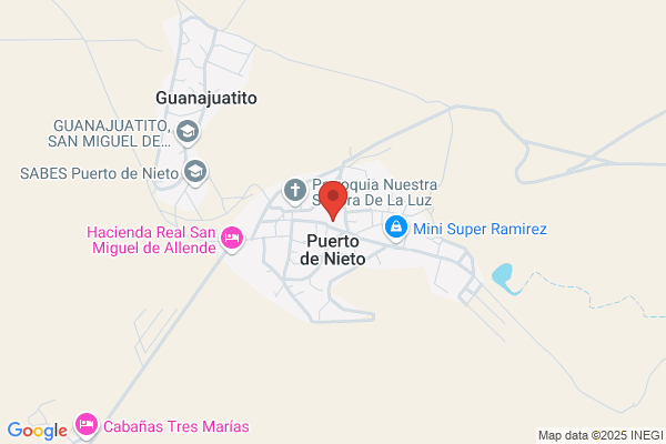 Nieto Puerto a.