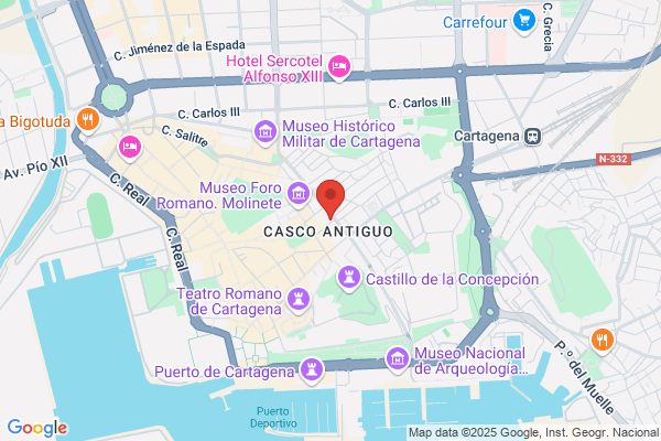 Federacion De Tropas Y Legiones De Las fiestas De carthagineses Y romanos De car
