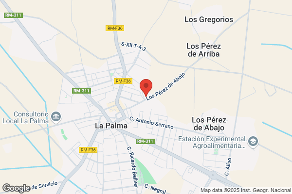 Paredes Solano f.