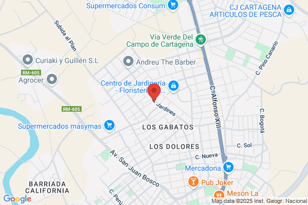 Gerencia Atencion Primaria N 3 Insalud
