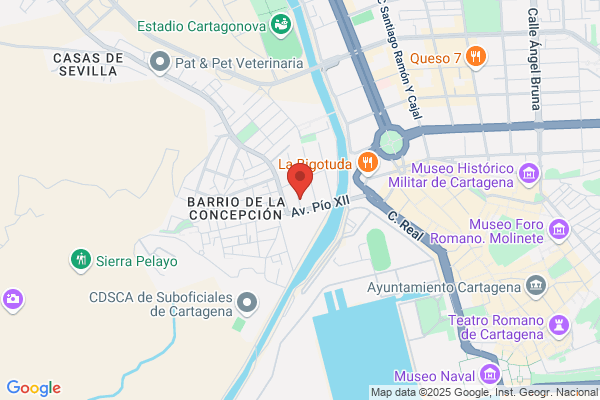 Asesoramiento Integral Y Planificacion Empresarial S.L.