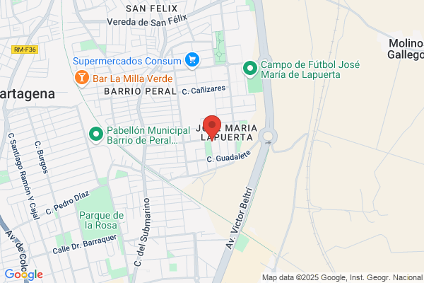 Buendia Mayordomo d.