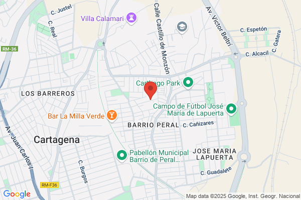 Flores Zamora m. Del C.