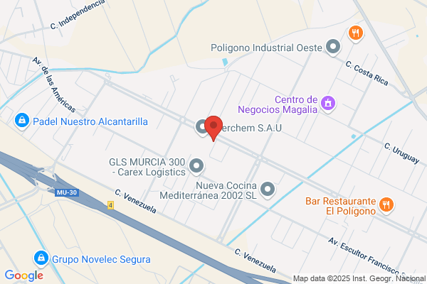 Tecnicas Y Servicios Integrales De Levante S.L.
