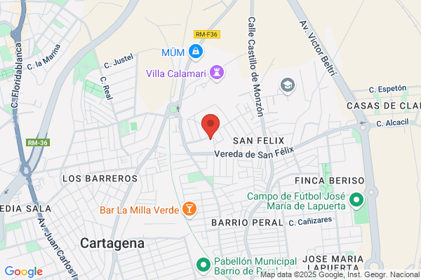 Pelucany - Peluqueria Canina