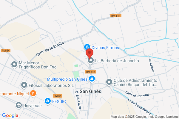 Consesa Control Y Seguridad S.A.