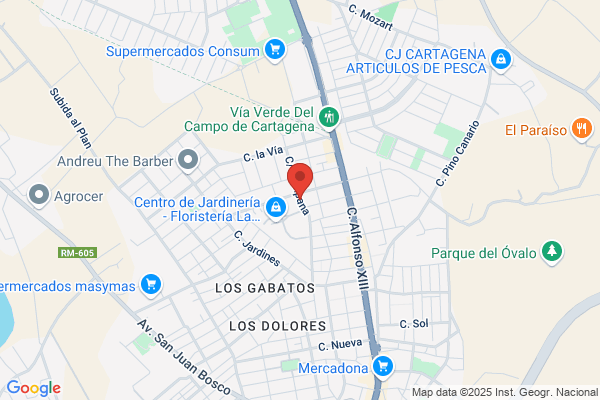Alcaraz Lopez f.