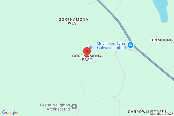 Gort Manjon a.