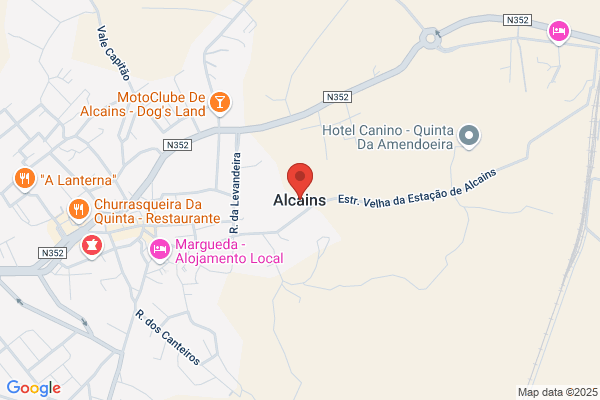Sales Alcaine m. T.