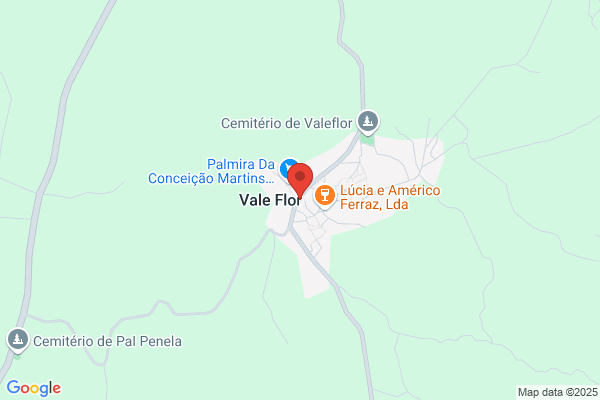 Flor Vallmajo e. De La