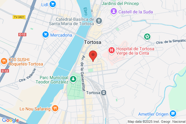 Gebisa Seguridad S.A.