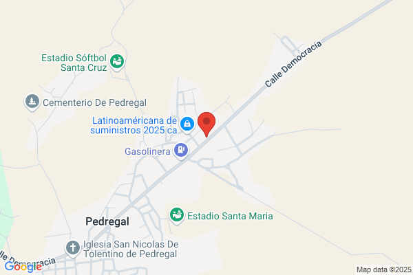 Pedregal Inversiones, S.A