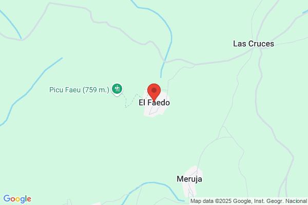 Fernandez Faedo m. M.