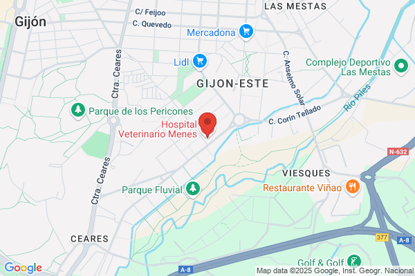 Clinica Veterinaria Palacio Valdes
