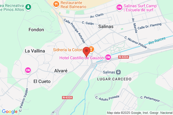 Clinica Veterinaria Salinas - Veterinario