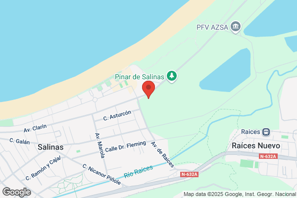 I.E.S. De Salinas
