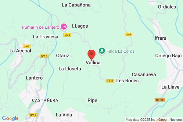 Vallina Suarez m. C.