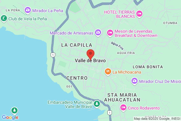 Bravo Nevado m.