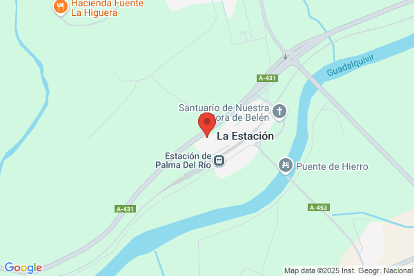Secadero De Palma Del Rio S. A.