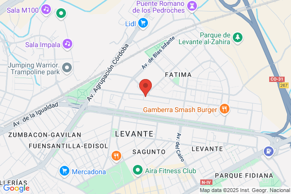 Servimacon S.L.
