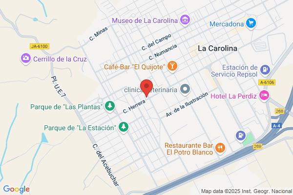 El Arca De Noe - Tienda De Animales