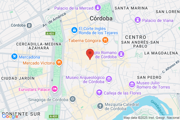 Virgen Milagrosa 30