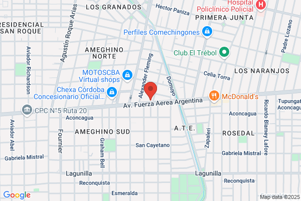 Carniceria La Verdad - Ternera Cerdo Cordero Criadero propio