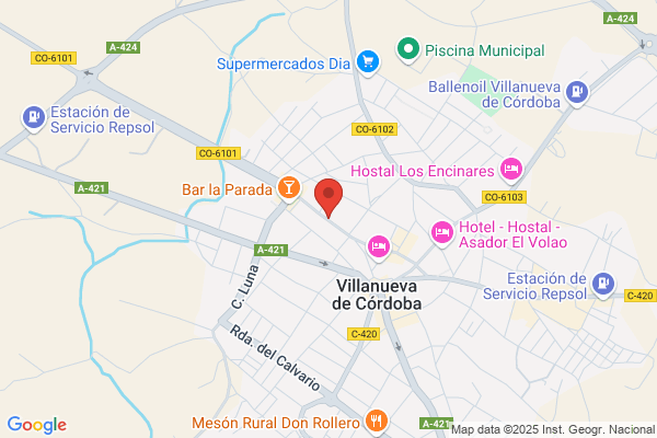 Asociacion Para La Promocion Del Minusvalido