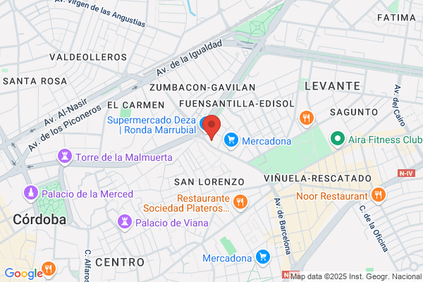 Alcaide Castro j.