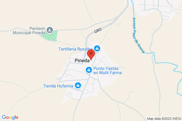 Pineda Guerrero f.