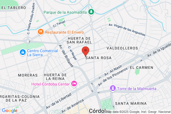 Ingyser S.A. - Informatica
