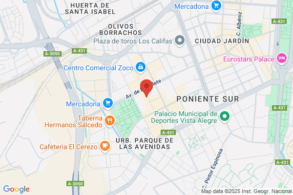 Estudios Informaticos Castilla S.L.