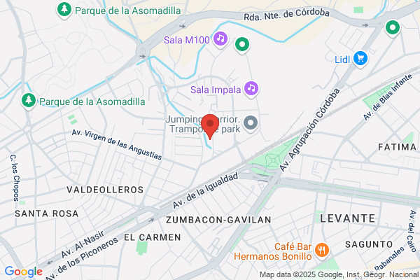 Tecnicos De Ascensores Reunidos S. A. L.