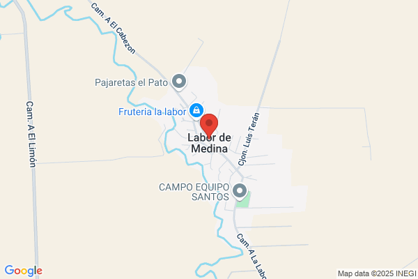 Medina Hidalgo d.
