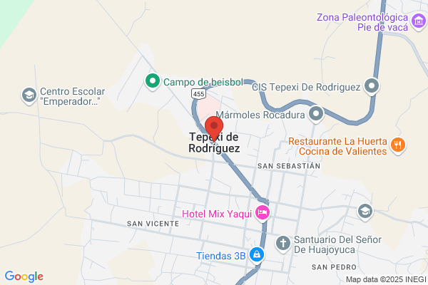 Puebla Rodrigues e.
