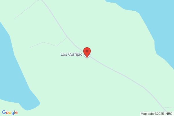 Ramirez De Isla Hernandez s.