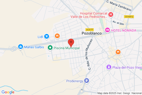Testigos Cristianos De Jehova