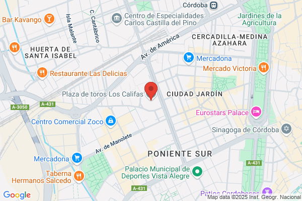 Nueva Plaza De Toros S. A.