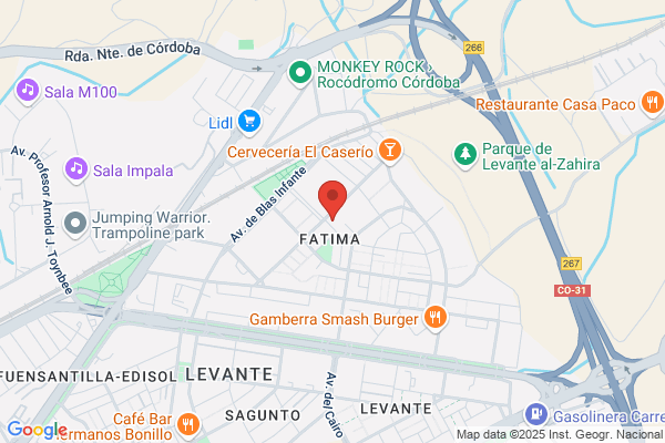 Limpiezas Y Vitrificados Del Sur S.L.