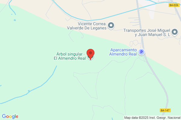 Almendro Gallardo s.