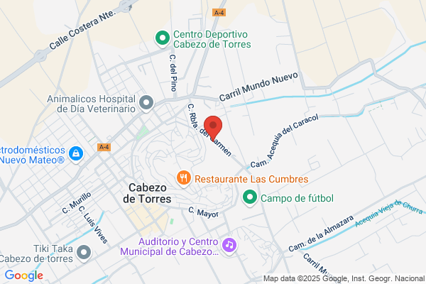 Academia Consuelo Molina C.B