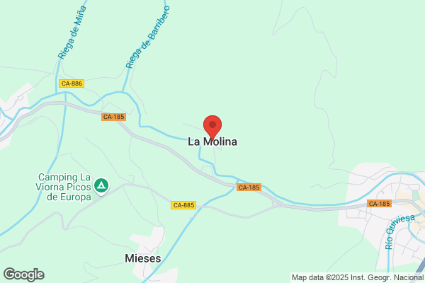 Lamo Molina s.
