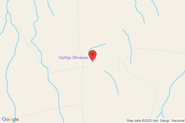 Cortijo Olivares S.A.