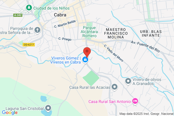 Guerrero Guerrero c. Y Otro Cdad