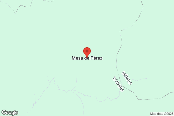 Perez Mesa j.