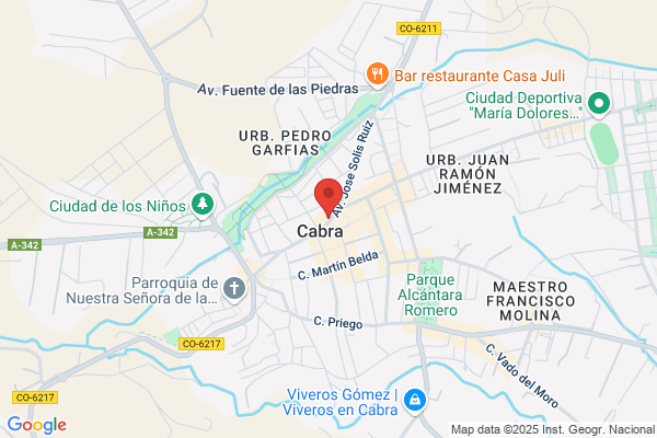 Meson Del Vizconde (Restaurante Meson Del Vizconde)