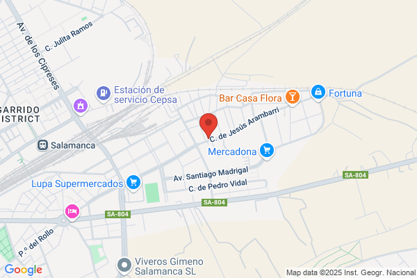 Salmantina De Reformas Y Trabajos Verticales