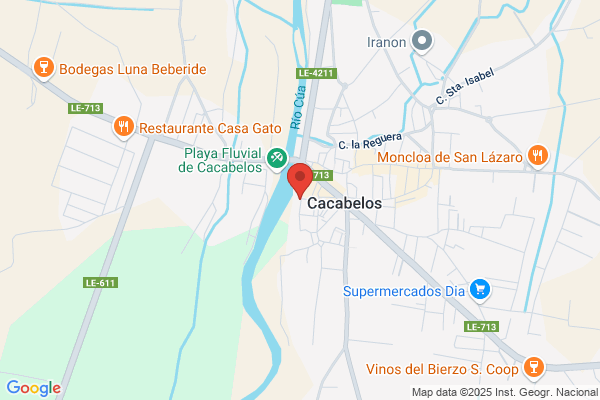 Asesoria Vega