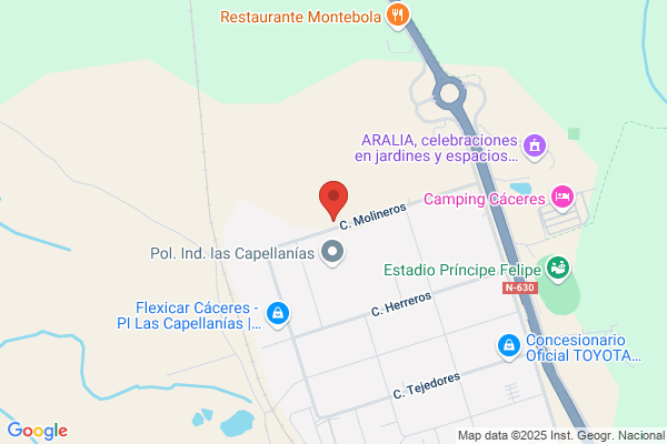 Repuestos Guadiana S.L. (Direccion)